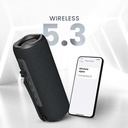 HiFuture Portable BT Speaker ALPHA IPX7 20W Black