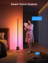 Govee Floor Lamp Pro Smart RGBICWW with Built-in Bluetooth Speaker H6079