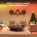 Govee LED Light Strip RGBIC Smart WiFi & BT w/Protective Coating 10m (Matter) H612C