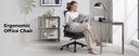 Lumivida Office Chair Ergonomic Mesh Lumbar Support Adjustable Seat/Armrest OCH01-5 Black