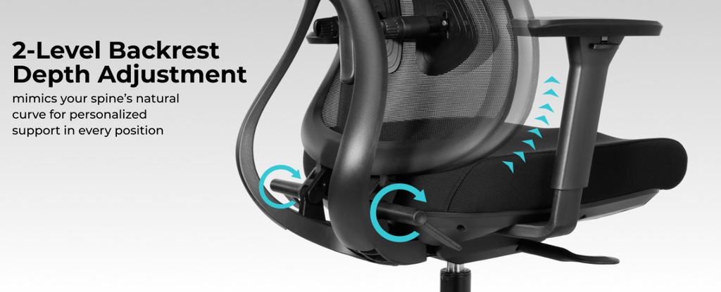 Lumivida Office Chair Ergonomic Mesh Lumbar Support Adjustable Seat/Armrest OCH01-5 Black