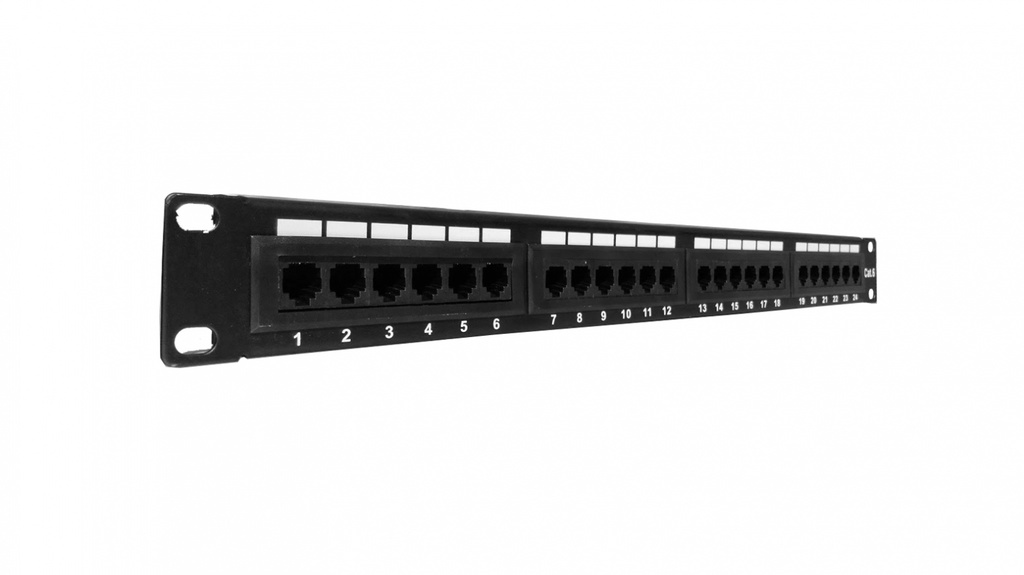 DigitMX NETPRO NP-CPP24C6 24Port CAT6 Patch Panel