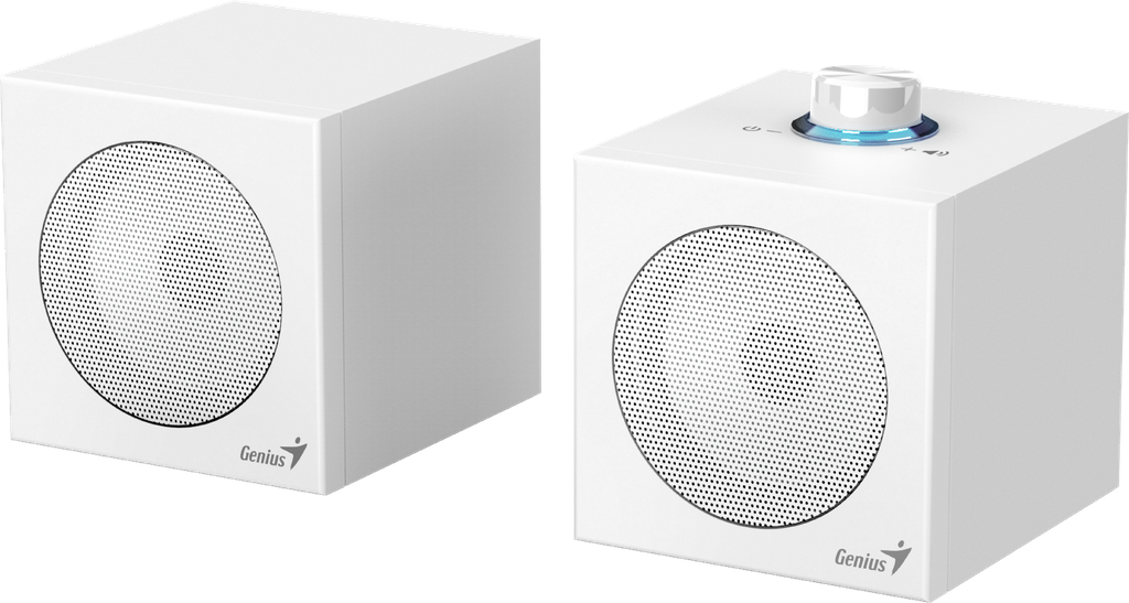 Genius PC Speakers 2.0 USB Audio 4W RMS USB-A+C SP-HF300U White