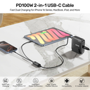 Unitek USB-C Cable PD100W 2-in-1 Dual Charging C14146ABK01-1.8M