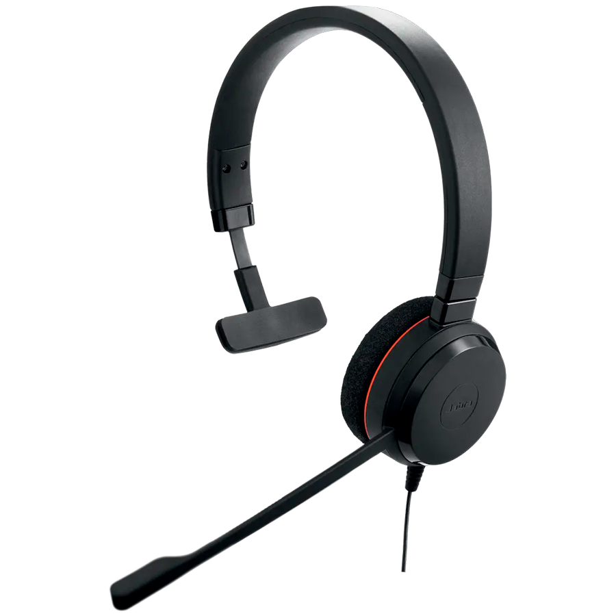 [4993-823-169] JABRA Evolve 20, Mono MS, USB C/A adapter