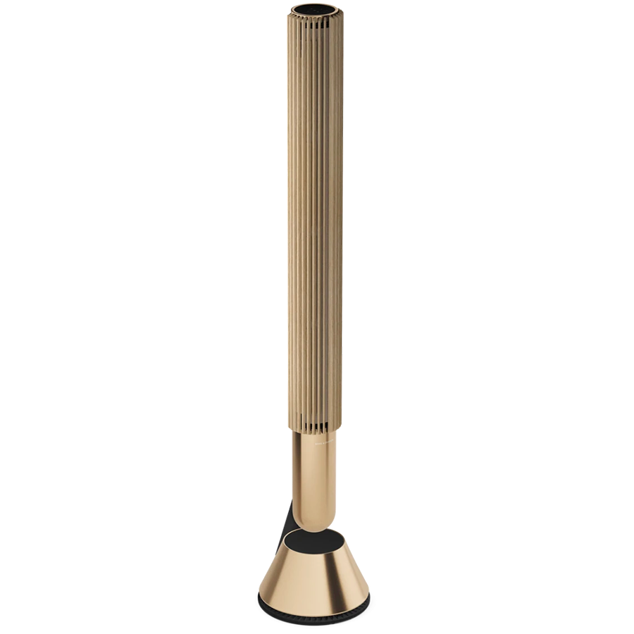 Beolab 28 Speaker Gold Tone (no inner cover)