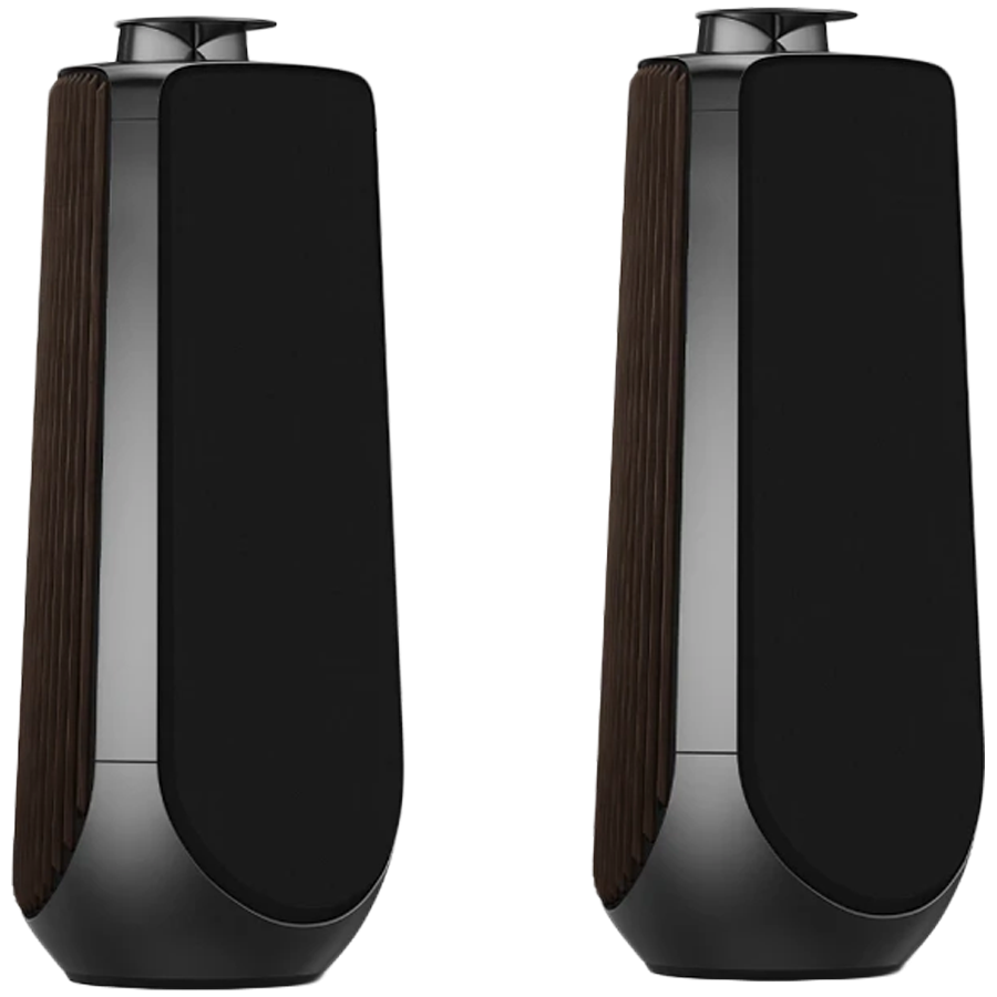 Beolab 50 Speaker (Secondary) Black Anthracite