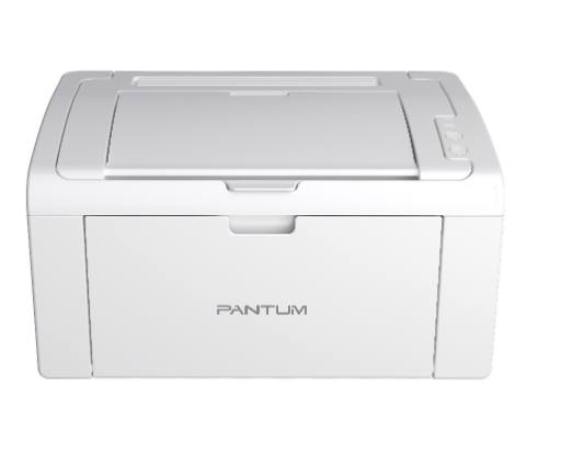 [27501] Pantum P2509W Laser Printer with Wi-Fi 22ppm
