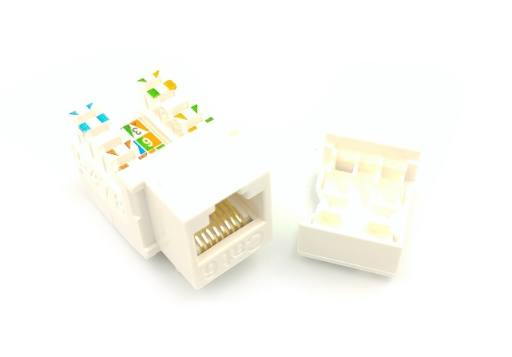 [17534] Kuwes UTP CAT6 Keystone Jack 90DEG for Faceplate