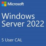 MICROSOFT WINDOWS SERVER STANDARD 2022 CALS 5 USERS, COMPATIBLE WITH ALL SERVERS
