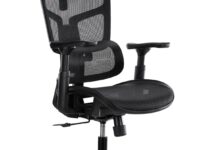 Lumivida Office Chair Ergonomic Mesh Lumbar Support Adjustable Seat/Armrest Black CH10-10