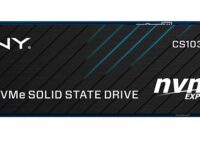 PNY SSD M.2 NVMe PCIe Gen3 250GB CS1030