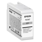 EPSON INK CARTRIDGE SINGLEPACK ULTRACHROME PRO 10 INK GRAY T47A7 (50ML), SC-P900