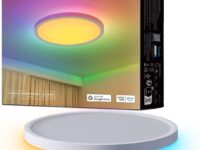 Govee Lamp Ceiling Smart LED 12inch Round Light RGBWW + RGBIC H80A1C01