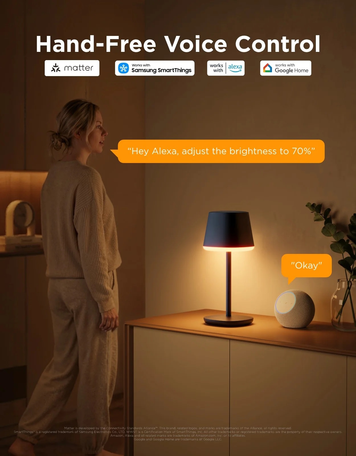 Govee Lamp Table RGBICWW Portable 30hrs (Table Lamp Classic) - Image 5