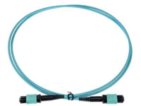 Opton Fiber Patch Cord MPO - MPO OM3 12F Type B